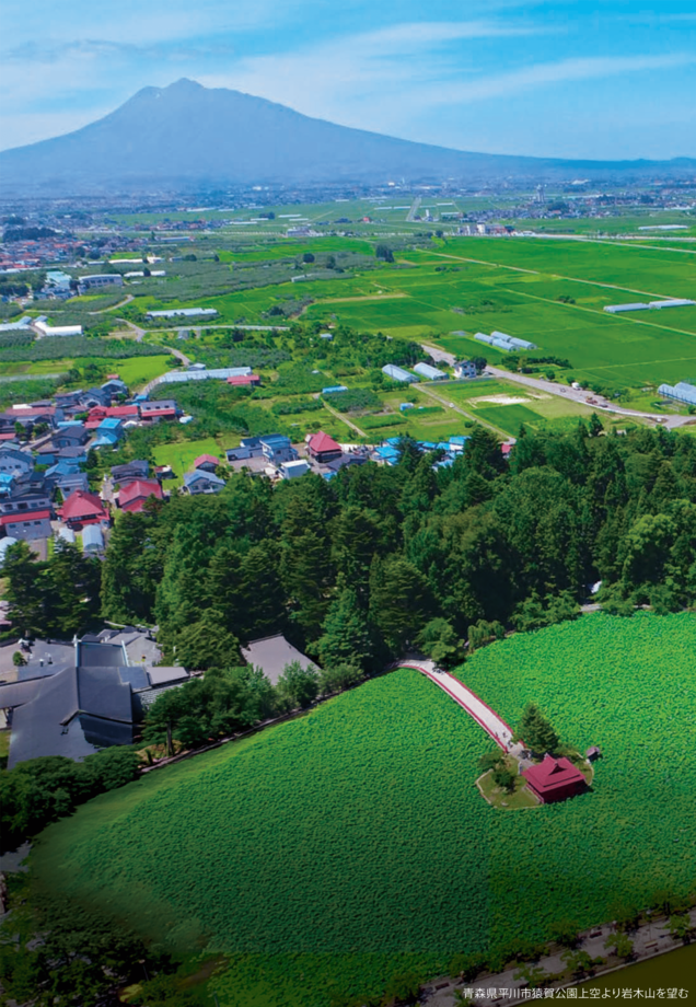 Takasago noodle package and serving suggestion